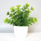 Artificial Potted Plant Scene Desktop Home Office Shelf Decor